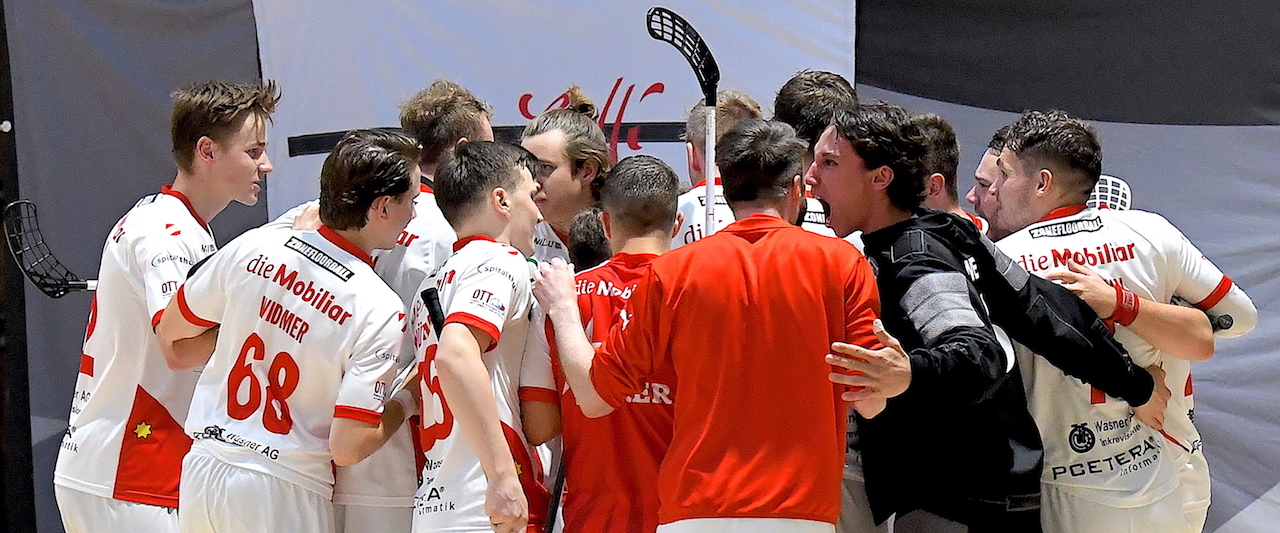 Eins&auml;tze in Cup und Meisterschaft