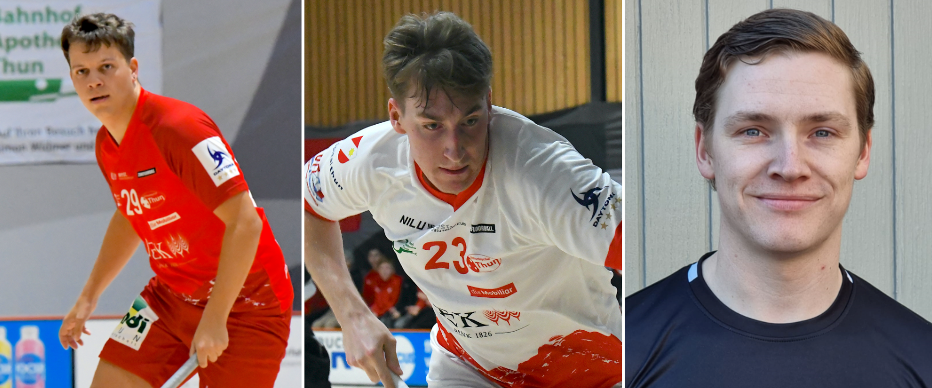 Wiedmer und Papousek verl&auml;ngern, Noaksson kommt nach Thun